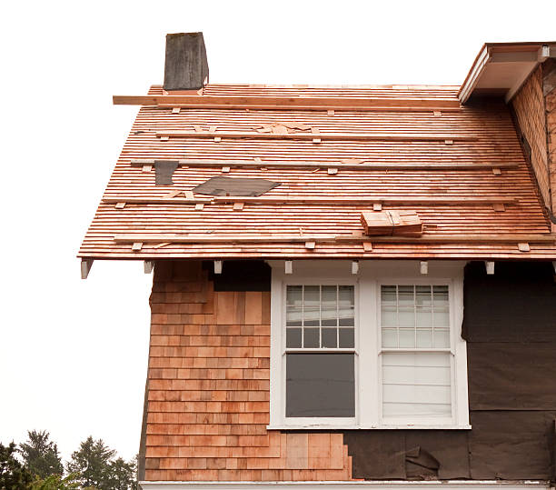 Affordable Siding Repair and Maintenance Services in Forest Heights, MD